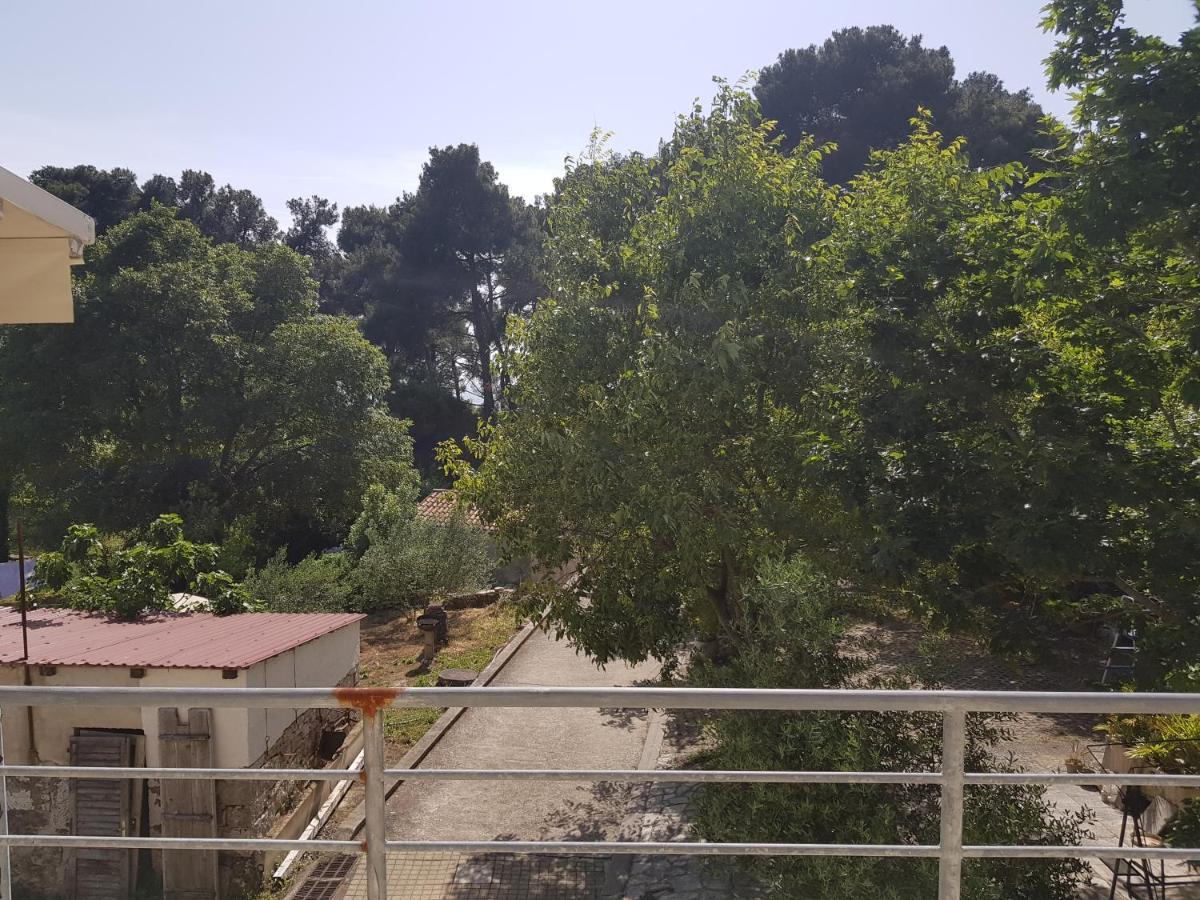 Apartment Manto Free Parking Rovinj Exteriör bild
