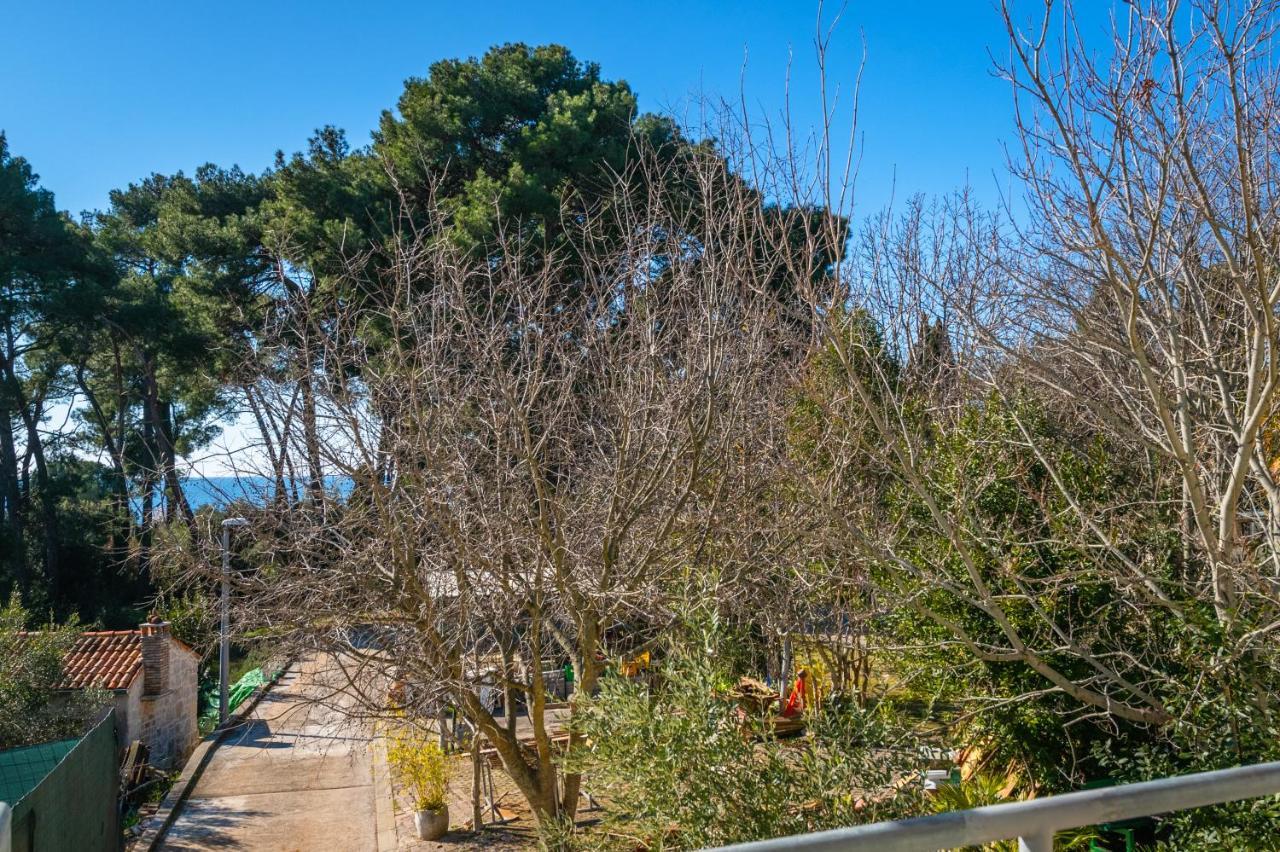 Apartment Manto Free Parking Rovinj Exteriör bild