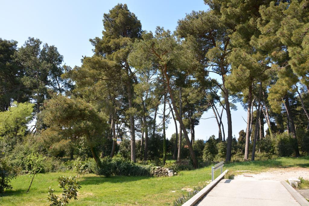 Apartment Manto Free Parking Rovinj Exteriör bild